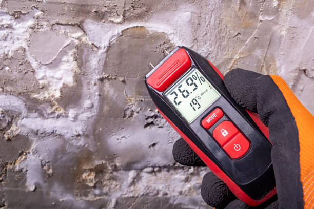 Best Commercial Mold Removal  in Sto Brook, NY